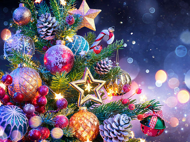 Tipos de árboles de Navidad: ¿cuál es tu estilo? - Bulevar Sur